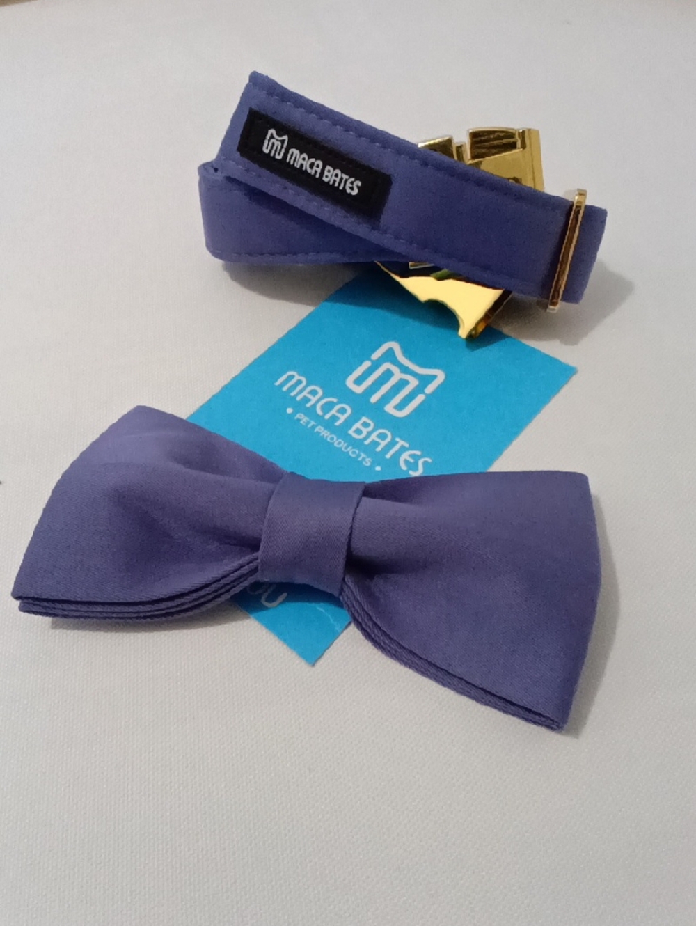 Maca Bates 🐶 Dog Purple Bow Tie Pet Collar Set